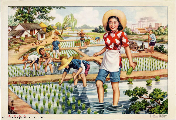 e12-527.jpg e12-527.jpg