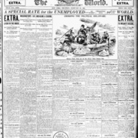NY Evening World, Feb. 22, 1894